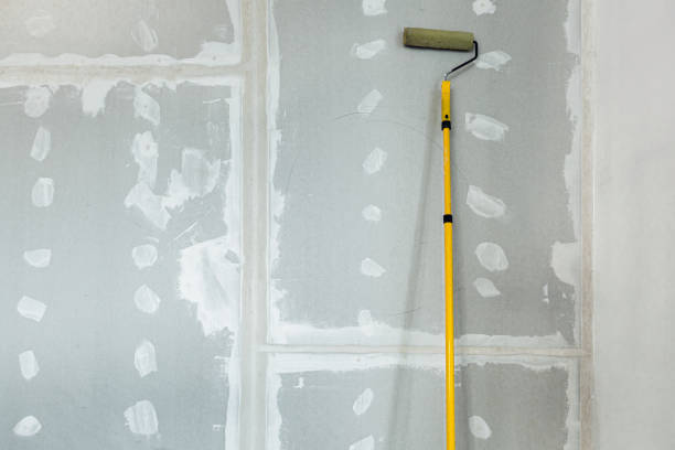 Best Mold Prevention Services  in Goodwater, AL
