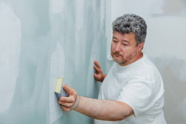Best Black Mold Removal  in Goodwater, AL