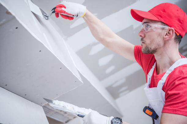 Best Mold Removal for HVAC Installations  in Goodwater, AL